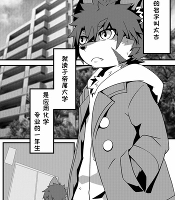 [Nyaa Wolf (Enrike)] Kyoudai Gokko [cn] – Gay Manga sex 5