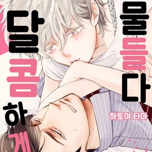 Gay Manga - [HATOYA Tama] Amaama ni Somaru (c.1) [kr] – Gay Manga