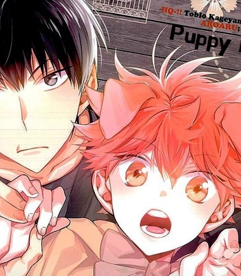 Gay Manga - [AROARU Larva] Haikyuu!! dj – Puppy love [kr] – Gay Manga