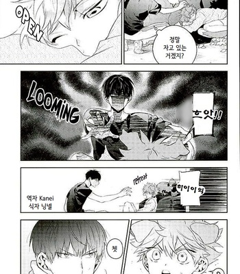 [AROARU Larva] Haikyuu!! dj – Puppy love [kr] – Gay Manga sex 10