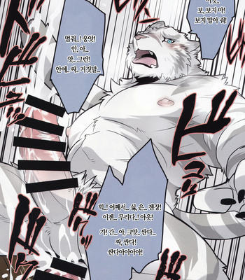 [Tora no Kakurega (Ochatora)] Secret Beast [kr] – Gay Manga sex 21