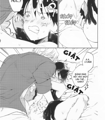 [Larva] Golden Time – One Piece dj [Vi] – Gay Manga sex 21