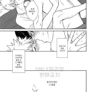 [DAI-chan] Tabisakide ukarete nanigawarui – Boku no Hero Academia dj [kr] – Gay Manga sex 22