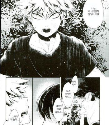 [Acacia (Oono)] Boku no Hero Academia dj – 0.0 [KR] – Gay Manga sex 24