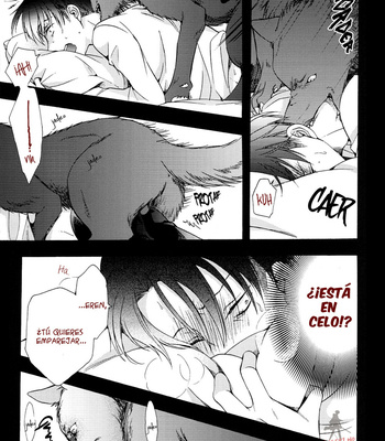 [IS.g/ Kimi Ichinashi] Okami Eren no koibito – Attack on Titan dj [Esp] – Gay Manga sex 44
