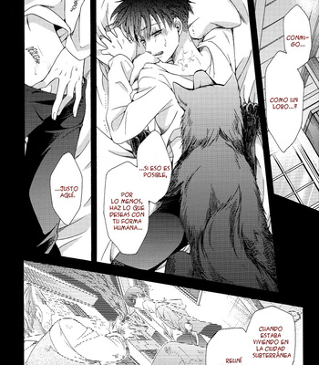 [IS.g/ Kimi Ichinashi] Okami Eren no koibito – Attack on Titan dj [Esp] – Gay Manga sex 45