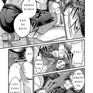 [Tori no Sanpomichi (Inukai)] Ubawareta Hokori – Dragon’s Dogma dj [kr] – Gay Manga sex 9
