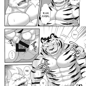 [a3lion] Tora no Tenin-san [kr] – Gay Manga sex 14