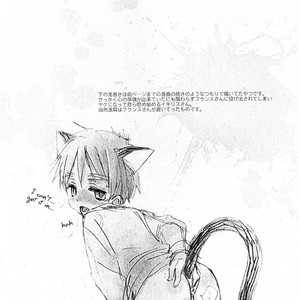 [AtsuAtsu Cook] With Little Kitty! – Hetalia dj [Eng] – Gay Manga sex 10
