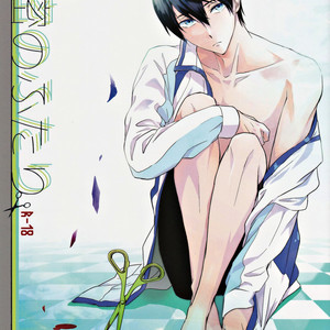 Gay Manga - [Opera (Shikibu)] Free! dj – Himitsu no futari [JP] – Gay Manga