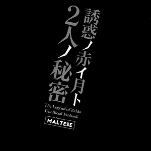 [Maltese (Runrun)] Yuuwaku no Akaitsuki to Futari no Himitsu – The Legend of Zelda dj [Eng] – Gay Manga sex 4