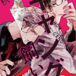 [AKIHISA Teo] Gang no Kaikata (c.1) [Eng] – Gay Manga thumbnail 001