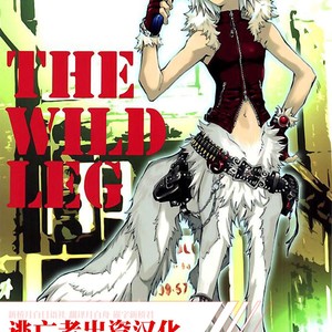Gay Manga - [GoldenDawn89 (Karitaka Akira, Ono Nui)] THE WILD LEG [cn] – Gay Manga
