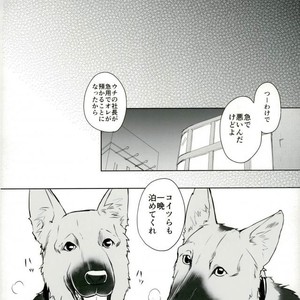 [SiZ Zler] Lovely My Dog – Durarara!! dj [JP] – Gay Manga sex 10