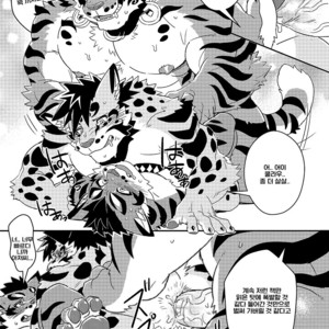 [WILD STYLE (Ross)] Neko Hon Hon – Nekojishi dj [kr] – Gay Manga sex 9