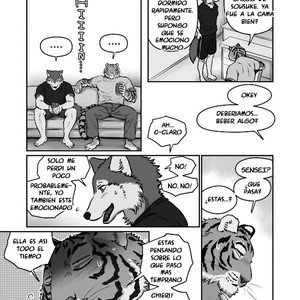 [Maririn] Wolf Teacher & Tiger Daddy 2 [Spanish] – Gay Manga sex 11