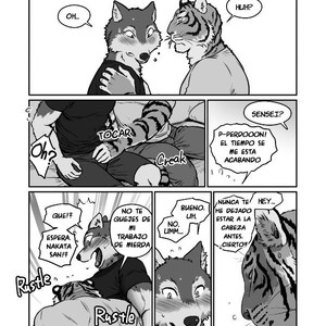 [Maririn] Wolf Teacher & Tiger Daddy 2 [Spanish] – Gay Manga sex 15