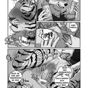 [Maririn] Wolf Teacher & Tiger Daddy 2 [Spanish] – Gay Manga sex 22