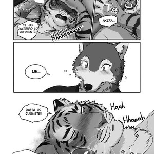 [Maririn] Wolf Teacher & Tiger Daddy 2 [Spanish] – Gay Manga sex 26