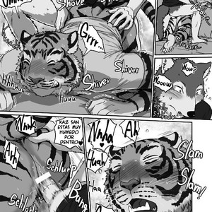 Wolf And Tiger Furry Porn - Maririn] Wolf Teacher & Tiger Daddy 2 [Spanish] - Gay Manga | HD Porn Comics
