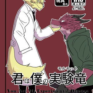 Gay Manga - [Kurumiken] Kimi wa Boku no Jikken Ryu [kr] – Gay Manga