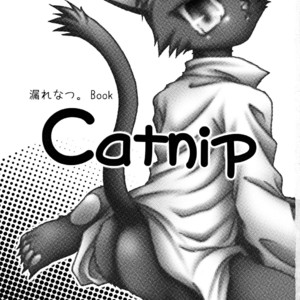 [Mini Salad (Ie Neko)] Catnip – Morenatsu dj [JP] – Gay Manga sex 2