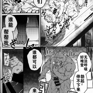 [Beats Beasts Partners (Kishiguma Toragorou)] Krankheit [cn] – Gay Manga sex 15