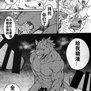 [Beats Beasts Partners (Kishiguma Toragorou)] Krankheit [cn] – Gay Manga sex 22