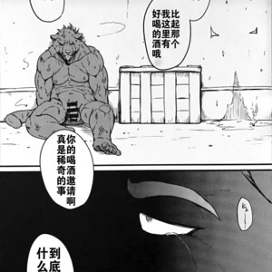 [Beats Beasts Partners (Kishiguma Toragorou)] Krankheit [cn] – Gay Manga sex 32