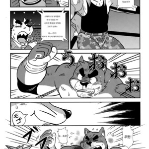 [Zunguri Dango (Various)] BFW Beast Fighter Wrestling Vol. 5 [kr] – Gay Manga sex 26