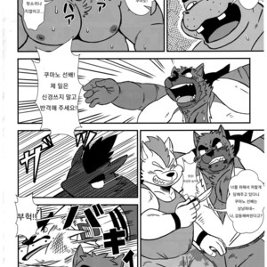 [Zunguri Dango (Various)] BFW Beast Fighter Wrestling Vol. 5 [kr] – Gay Manga sex 33