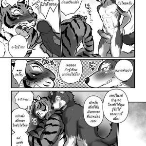 [Maririn] Teacher Wolf And Daddy tiger [Thai] – Gay Manga sex 21