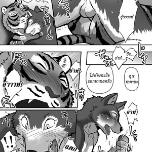 [Maririn] Teacher Wolf And Daddy tiger [Thai] – Gay Manga sex 29
