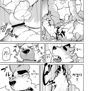 [Dabo (Syukouakanaru)] Shirai-kun no Shakai Kengaku [kr] – Gay Manga sex 27