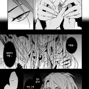 [SilverRice (Sumeshi)] Ishin Denshin – Granblue Fantasy dj [kr] – Gay Manga sex 14