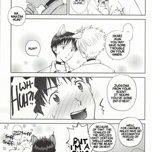[Getsumen-Spiral (Mayama Satori)] Wanko na Kareshi Otona-muke – Neon Genesis Evangelion dj [Eng] – Gay Manga sex 6