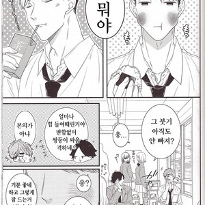 [yoneko] Yumeka, Uthuthuka – haikyuu!! dj [kr] – Gay Manga sex 6