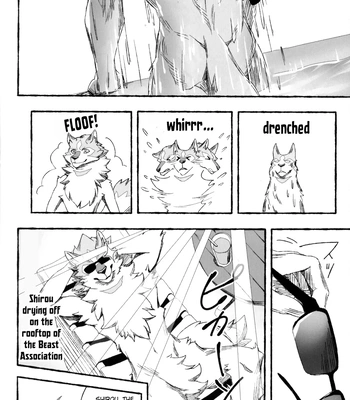 [Sora no Gomibako (SKY)] Ginrou – BNA: Brand New Animal dj [Eng] – Gay Manga sex 13