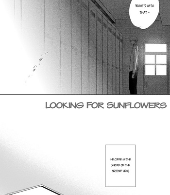 [Nimo] Looking For Sunflowers (A Common Love Story 3) – Kuroko no Basket dj [ENG] – Gay Manga sex 4