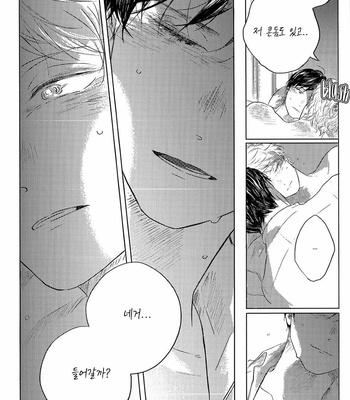 [Amamiya] blue! blue! blue! – after story [Kr] – Gay Manga sex 27
