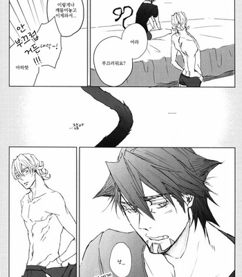 [Licca (Mamita)] Neko no Kimochi – Tiger & Bunny dj [kr] – Gay Manga sex 25