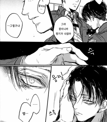 [Melomelow (Hyura)] Flower that won’t bloom – Attack on Titan dj [Kr] – Gay Manga sex 8