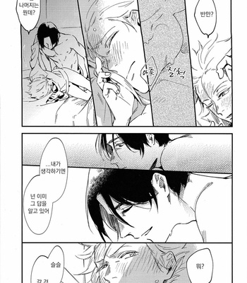 [Roku (Amino)] Banana Fish dj – What will be, will be [kr] – Gay Manga sex 29