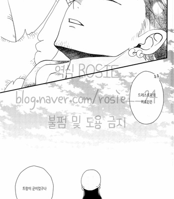 [Sakigake! Onna mae] Heroine of Dressrosa – One Piece dj [KR] – Gay Manga sex 18