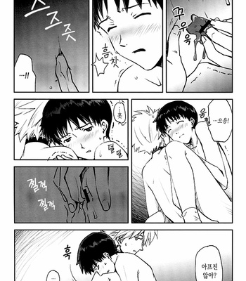 [Getsumen Spiral] Sexuality no Risouron – Neon Genesis Evangelion dj [KR] – Gay Manga sex 9