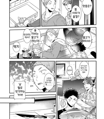 [Rototika (Kamishi Yue)] Iwachan no Neko ni Naritai 7 – Haikyuu!! dj [KR] – Gay Manga sex 12