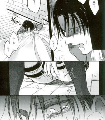 [Melomelow] Sakazu no hana – Attack on Titan dj [Kr] – Gay Manga sex 2