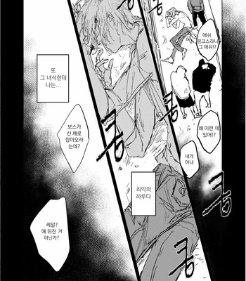 [Mame Gumi (G Rou)] Yubikiri – Banana Fish dj [kr] – Gay Manga sex 7