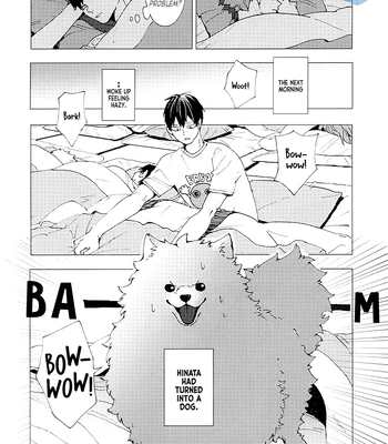 [Kanouh] My Partner Became a Dog – Haikyuu!! dj [Eng] – Gay Manga sex 5