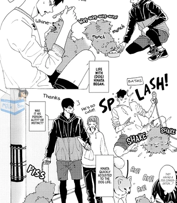 [Kanouh] My Partner Became a Dog – Haikyuu!! dj [Eng] – Gay Manga sex 10